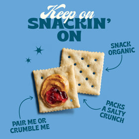 Back To Nature saltine crackers close-up texture shows crisp, airy perforations; perfect for dipping.