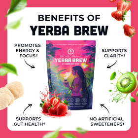 Back to Primal Yerba Brew glass serve shows inviting color and aroma.