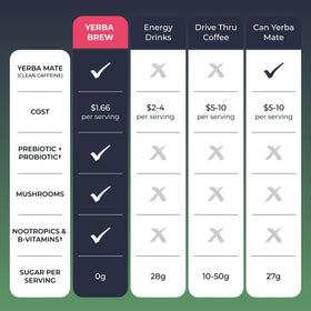 Back to Primal Yerba Brew morning routine evokes energy and easy daily consistency.