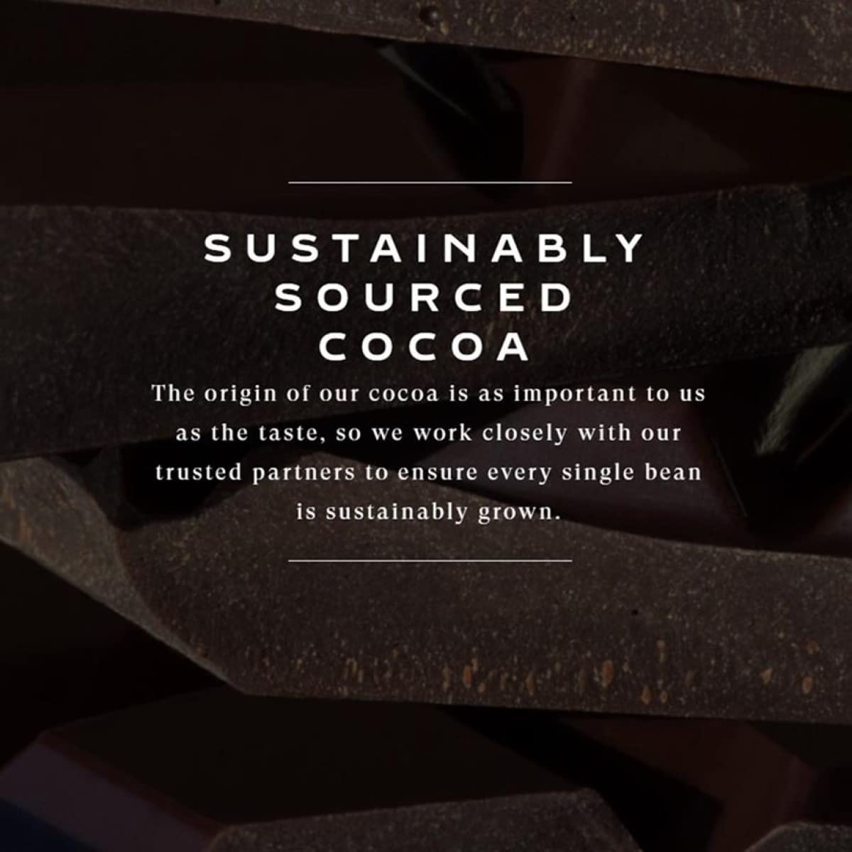 Brand new Bahlsen packaging emphasizing Rainforest Alliance and Cocoa Horizons partnerships.