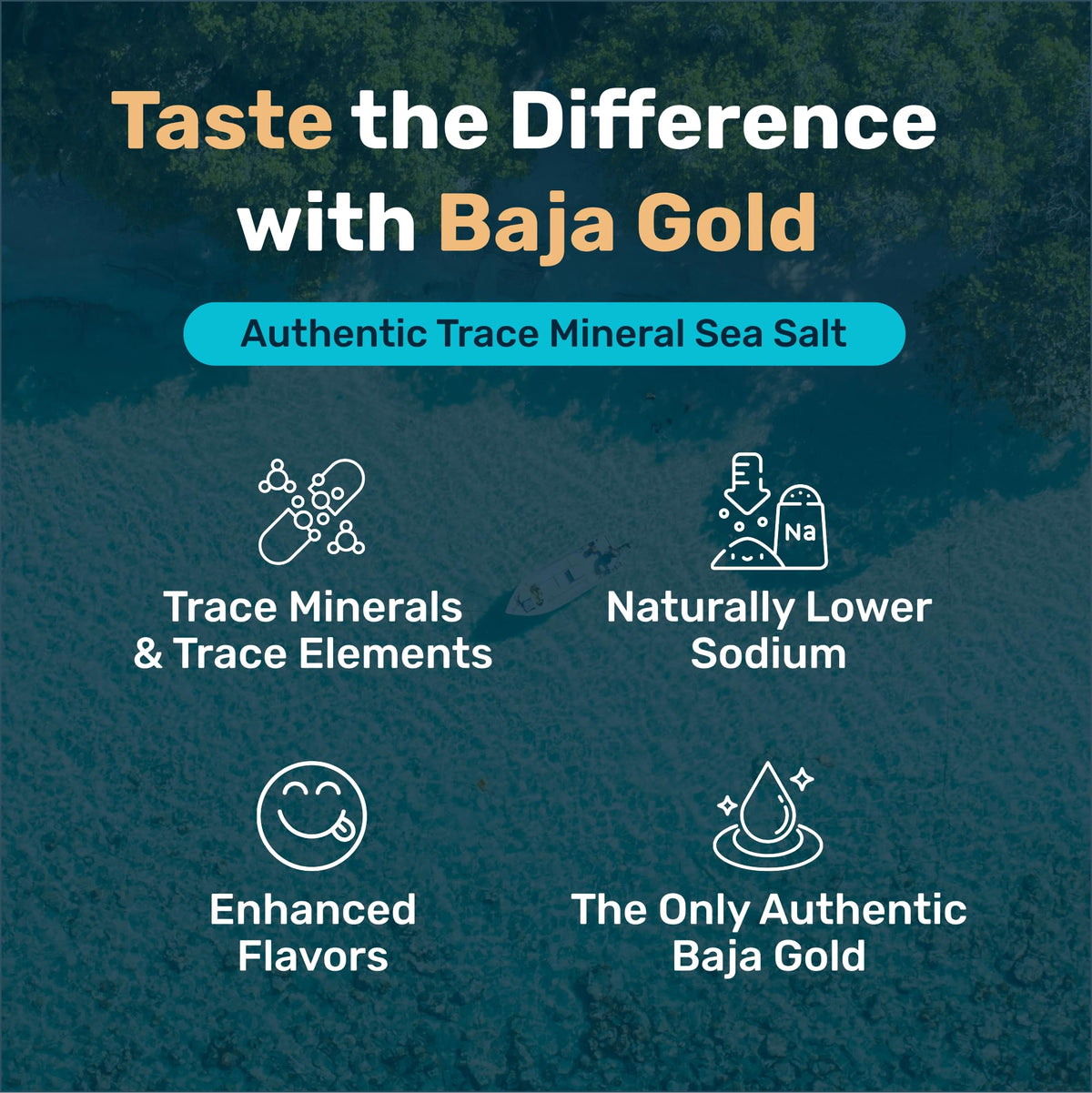 Baja Gold shaker pouring salt evenly onto a dish for balanced flavor.