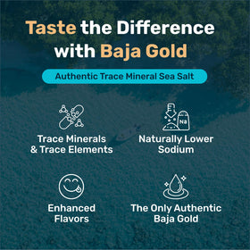Baja Gold shaker pouring salt evenly onto a dish for balanced flavor.