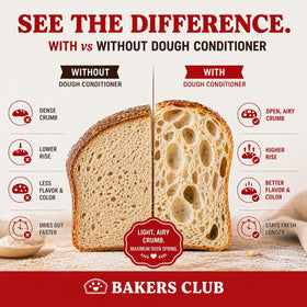 Sourdough crumb close-up with Bakers Club conditioner for softer texture.