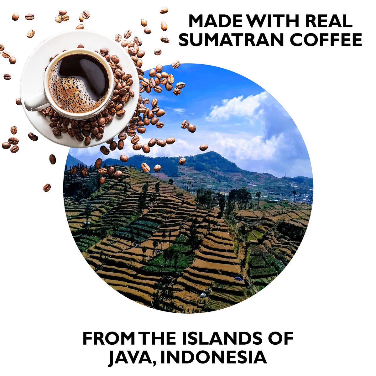 Bali's Best Sumatran coffee origin label highlights authentic sourcing and flavor.