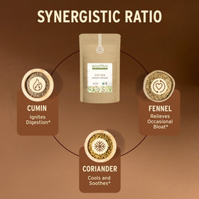 Banyan Botanicals CCF Tea spice seed mix highlights cumin, coriander, fennel aroma.