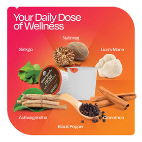 BareOrganics Focus Coffee ashwagandha-lionmane image showcases adaptogens enhancing focus.