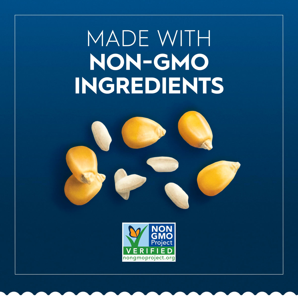 Barilla gluten free rotini ingredients corn and rice labeled non-GMO