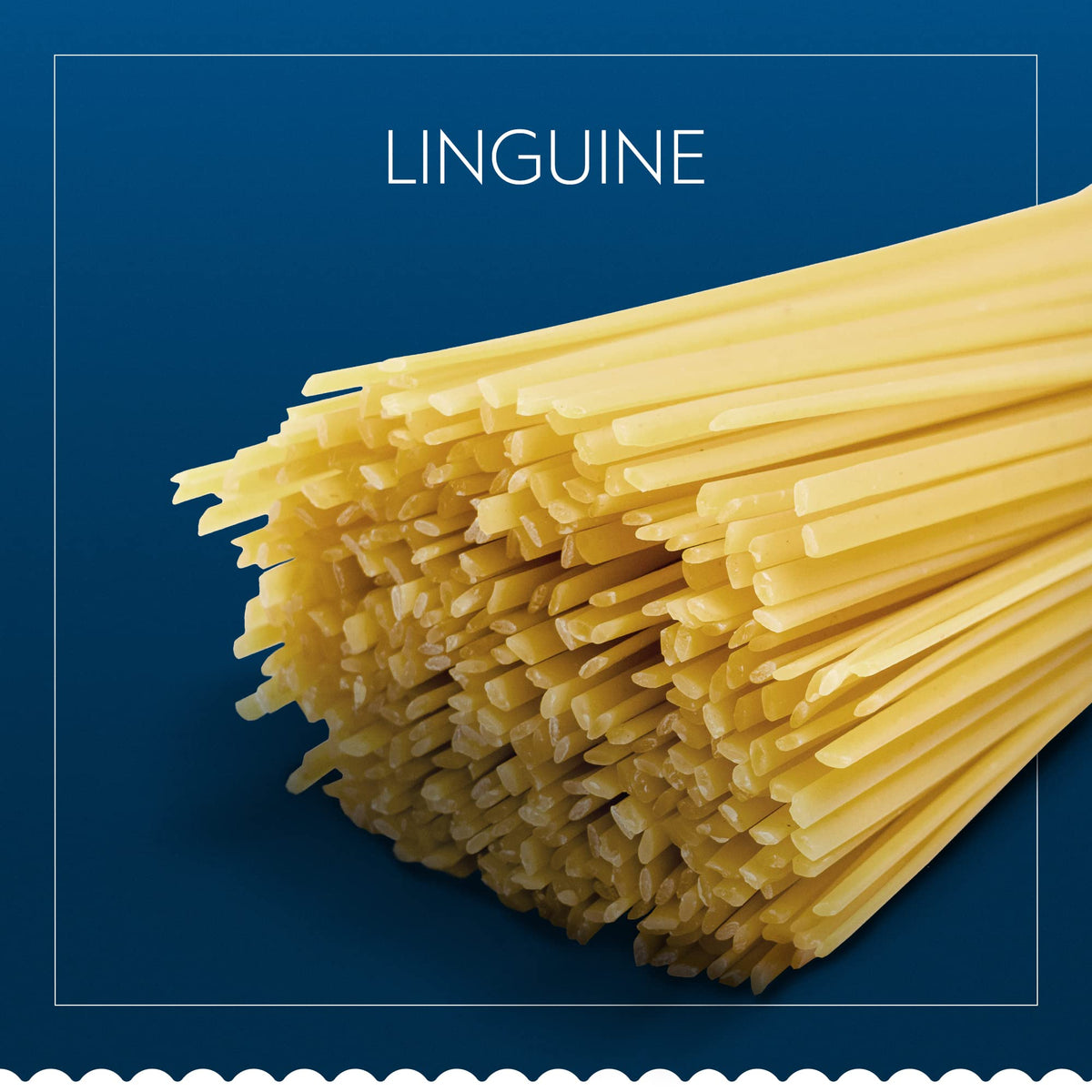 Barilla pasta sauce pairings suggest pesto, tomato, oil-based, and seafood options.