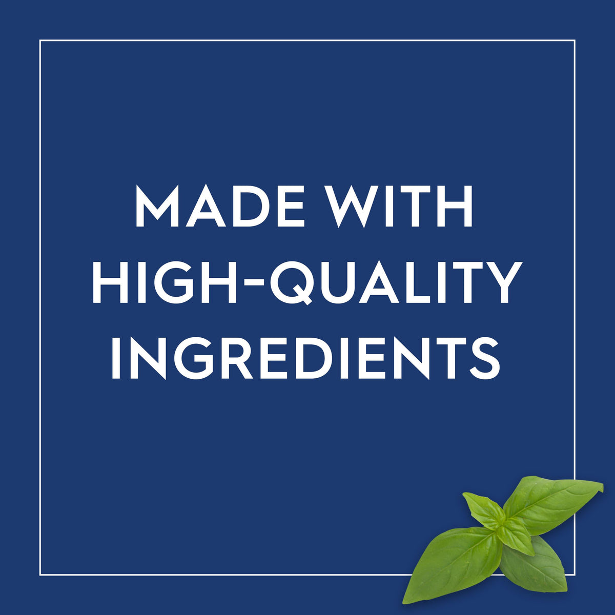Pesto served as a dipping plate with Barilla branding