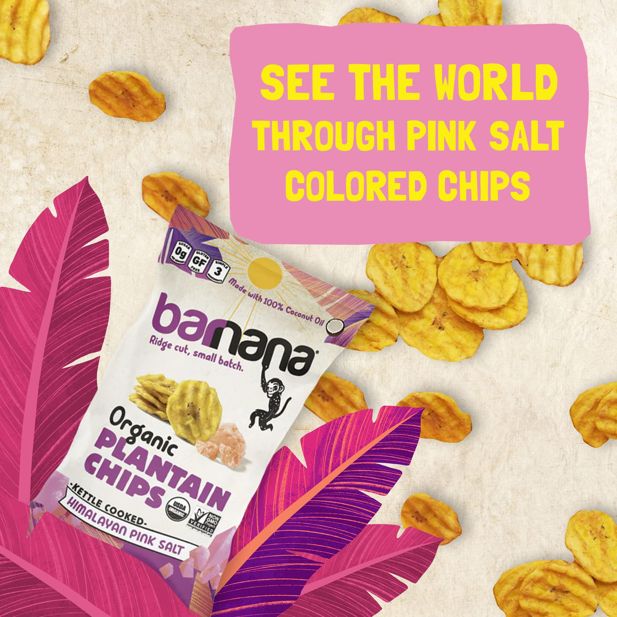 Barnana plantain chips fried in coconut oil delivering a light, savory bite.