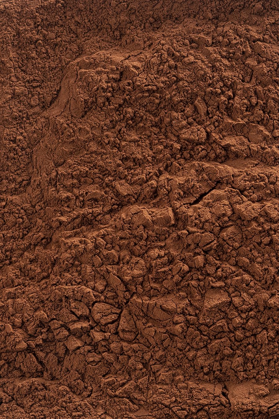Barry Callebaut Cocoa powder dusting on pastry for elegant finish