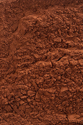 Barry Callebaut Cocoa powder dusting on pastry for elegant finish