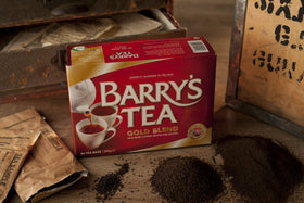 Barry's Tea Gold Blend brew setup on a kitchen counter, perfect for quick cup moments.