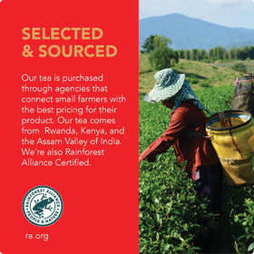 Barry's Tea Gold Blend steeping in a cup reveals rich notes from Assam, Kenya, and Rwanda.
