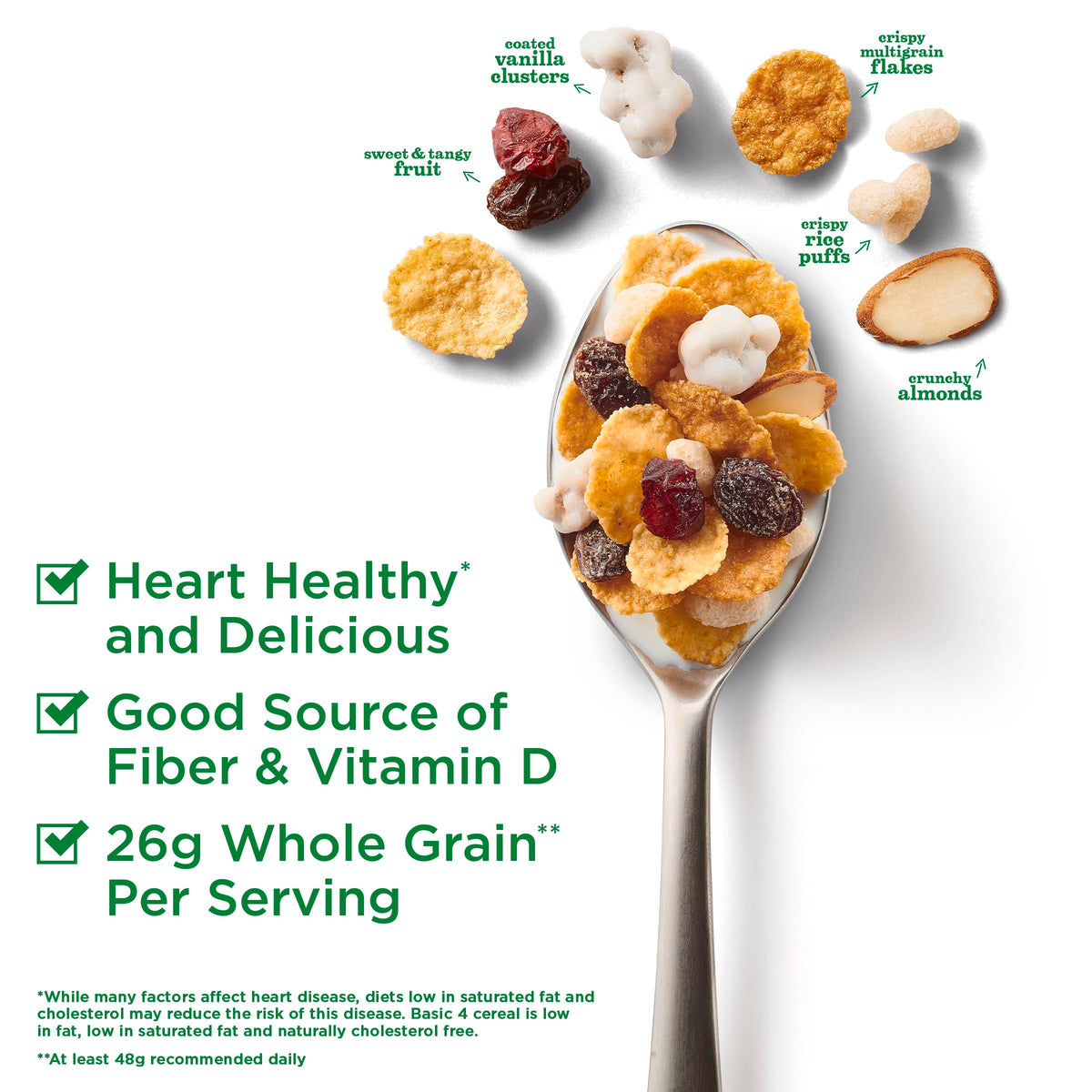 Basic 4 multigrain flakes close-up emphasizing crispy texture