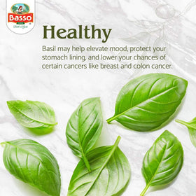 BASSO 1904 basil oil with bread for dipping, ready for serving.