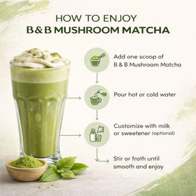 BB Traders Inc six-mushroom fruiting body blend close-up for daily wellness