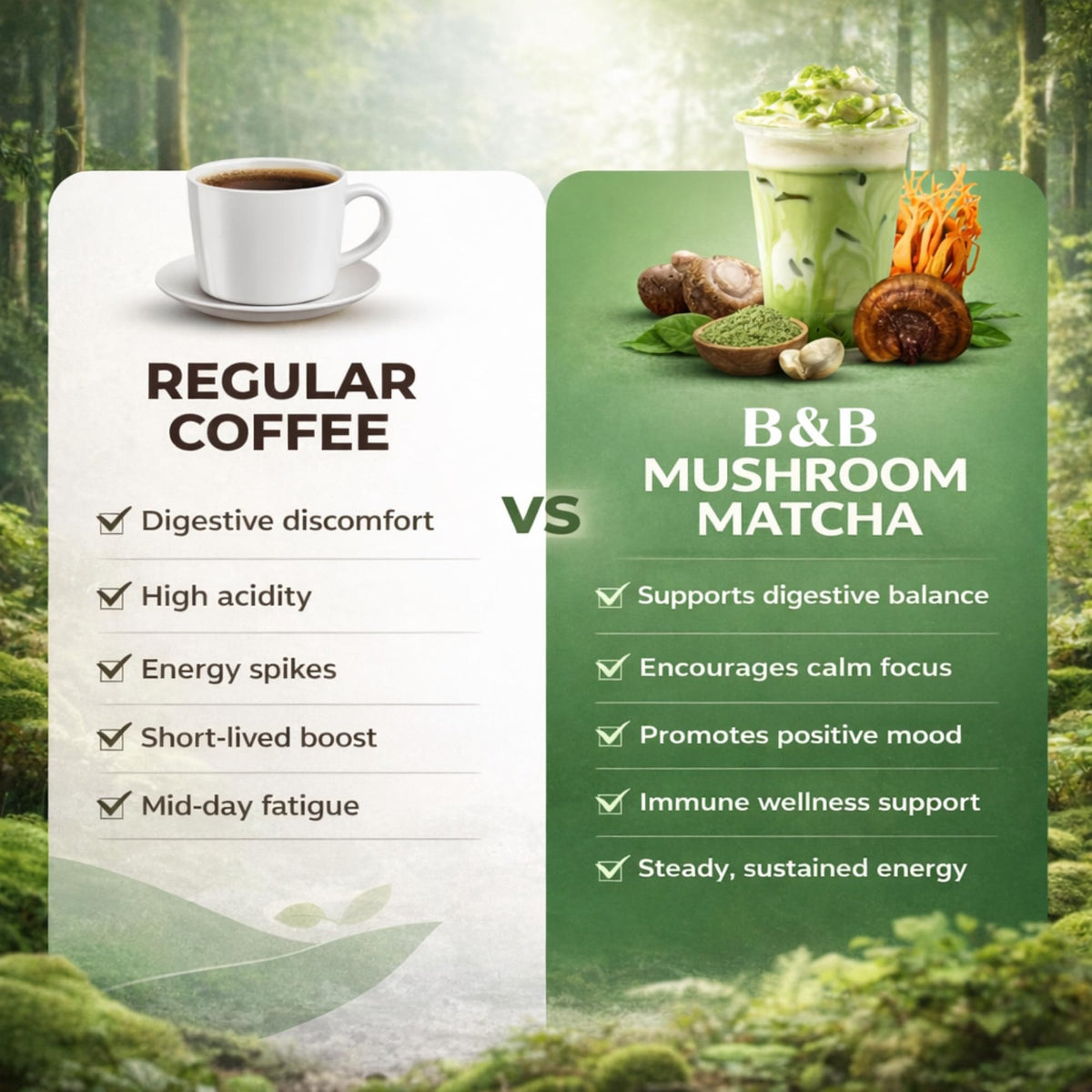 BB Traders Inc mushroom matcha coconut milk base blends smoothly into latte
