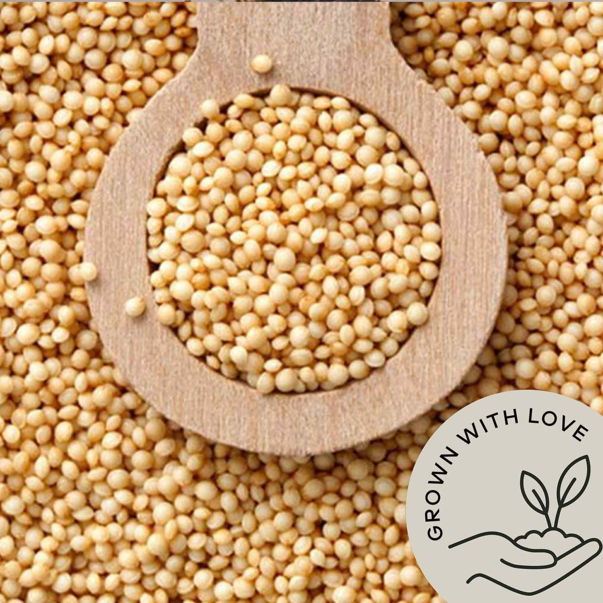 Be Still Farms Amaranth grain raw seeds closeup highlighting tiny, crunchy grains for meals.