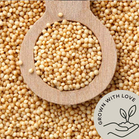 Be Still Farms Amaranth grain raw seeds closeup highlighting tiny, crunchy grains for meals.