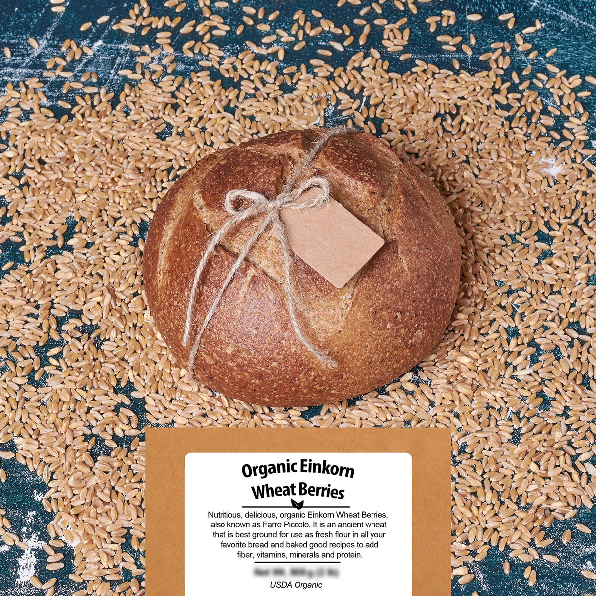Be Still Farms Einkorn Farro dough ready for baking with flour-like potential.