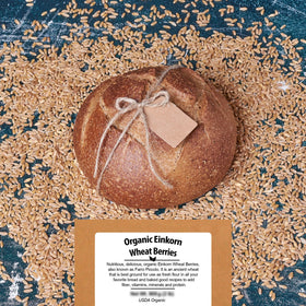 Be Still Farms Einkorn Farro dough ready for baking with flour-like potential.