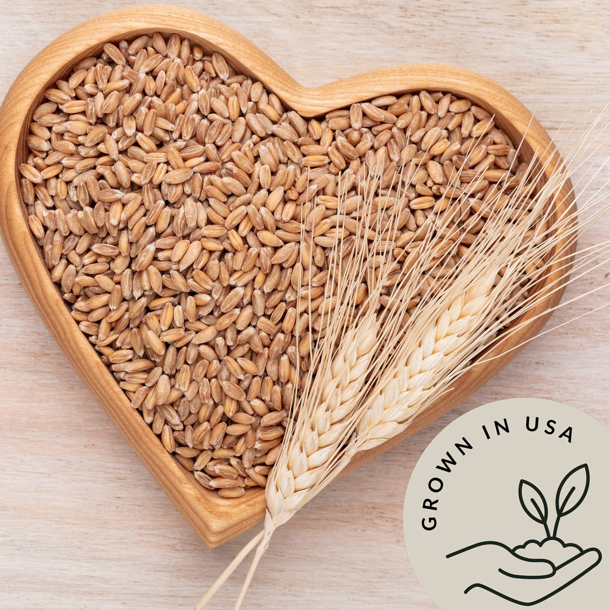 Be Still Farms Einkorn Farro in a soup bowl with hearty texture.