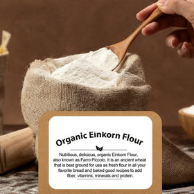 Be Still Farms Einkorn Flour for pizza dough, easy handling and flavor.