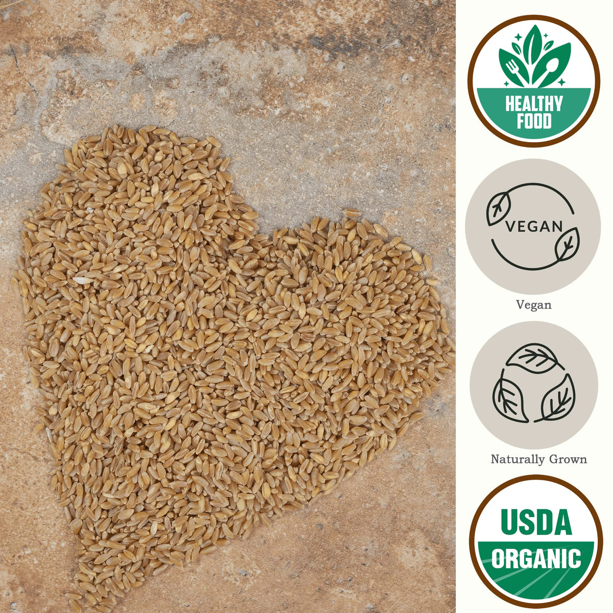 Be Still Farms Einkorn Wheat Berries close-up showing organic, whole grains.