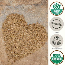 Be Still Farms Einkorn Wheat Berries close-up showing organic, whole grains.