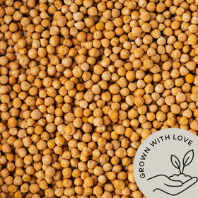 Be Still Farms hummus ingredients setup highlighting natural plant-based protein