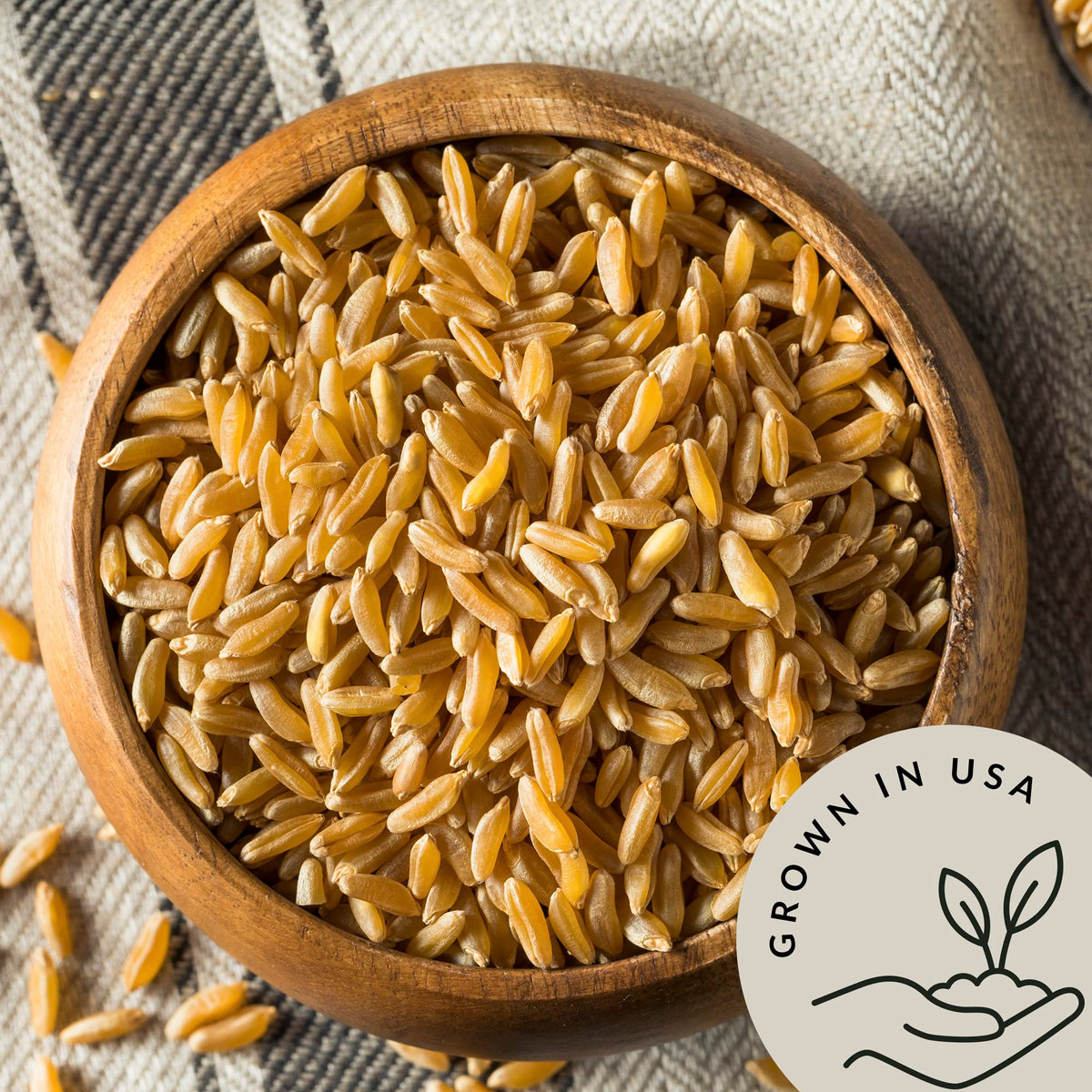Be Still Farms Kamut Wheat Berries cooked dish, fluffy grains ready to serve