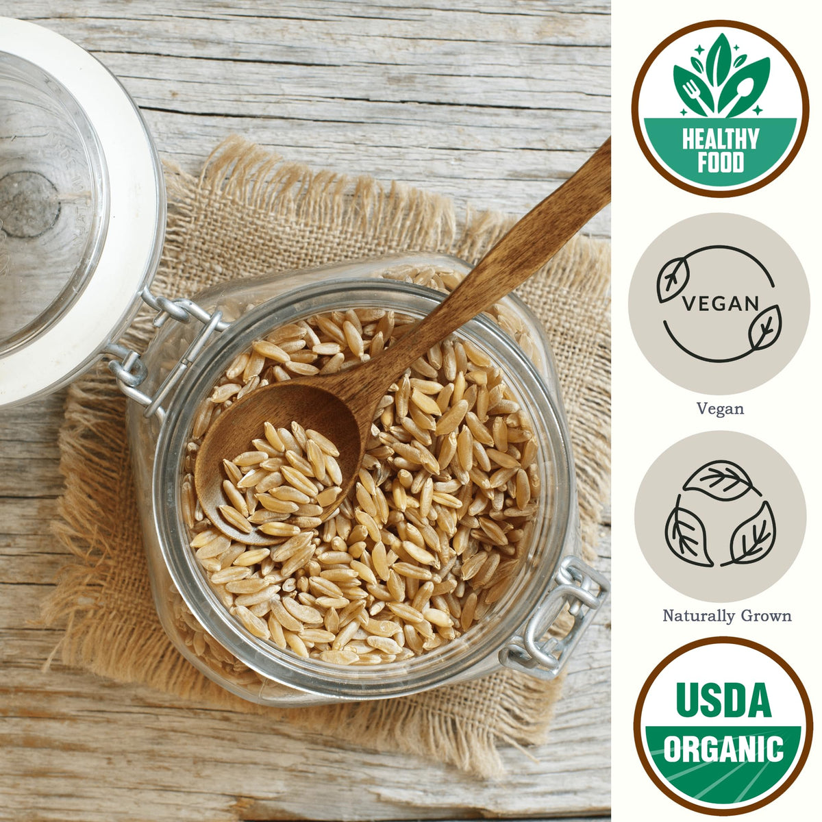 Be Still Farms Kamut Wheat Berries raw grains close-up, showcasing nutty, buttery texture