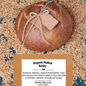 Be Still Farms organic barley grain stored in pantry.