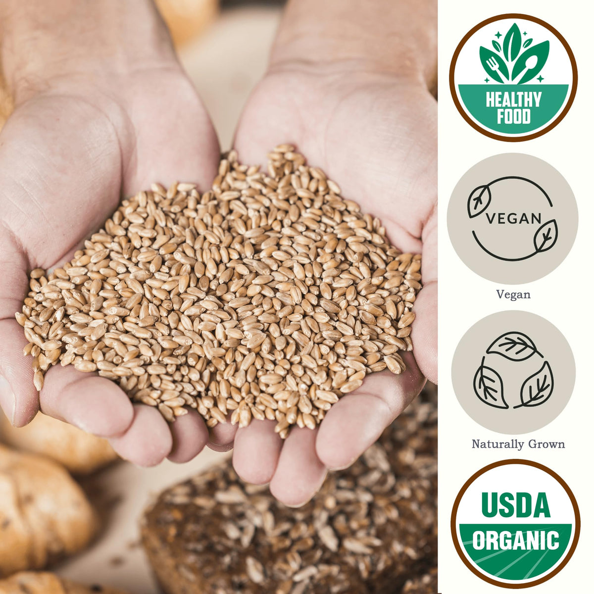 Raw Be Still Farms wheat berries close-up, premium organic grains for everyday meals.