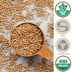 Be Still Farms organic wheat berries image, ideal for bulk storage and nutrient-rich meals.