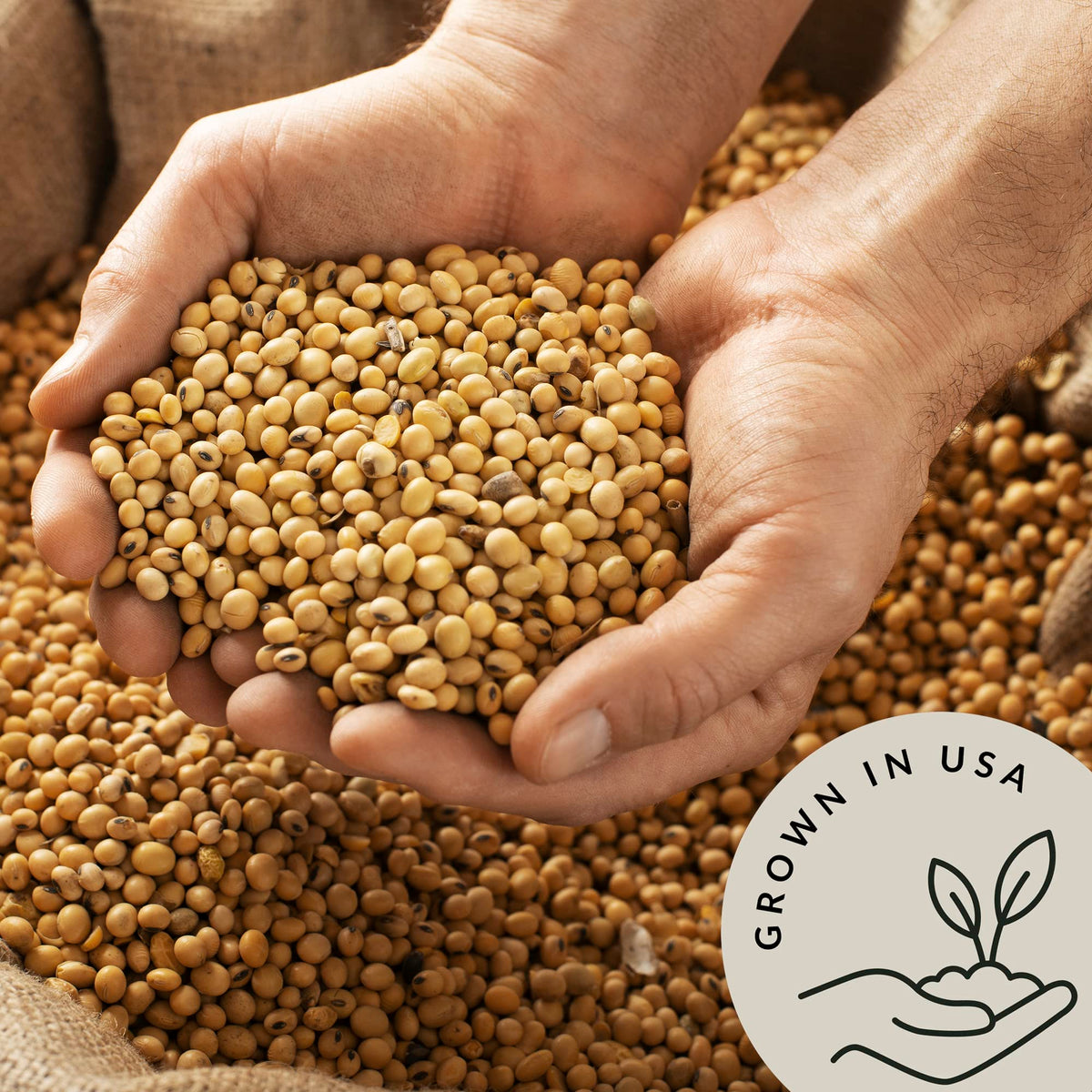 Be Still Farms Roasted soy-nuts snack, crunchy plant protein for a quick bite.