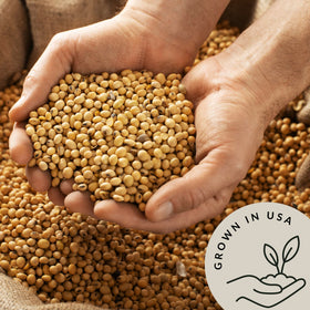 Be Still Farms soy milk dairy alternative from bulk soy beans