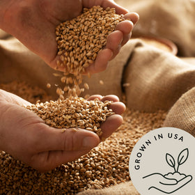 Be Still Farms wheat berries ground into flour for wholesome breads and baked goods.