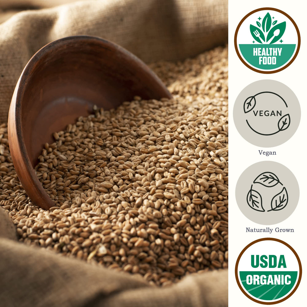 Be Still Farms wheat berries raw bulk ingredient ready for cooking or grinding.