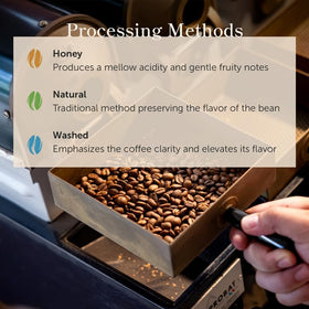Medium roast coffee in a cup reveals balanced flavor and body.