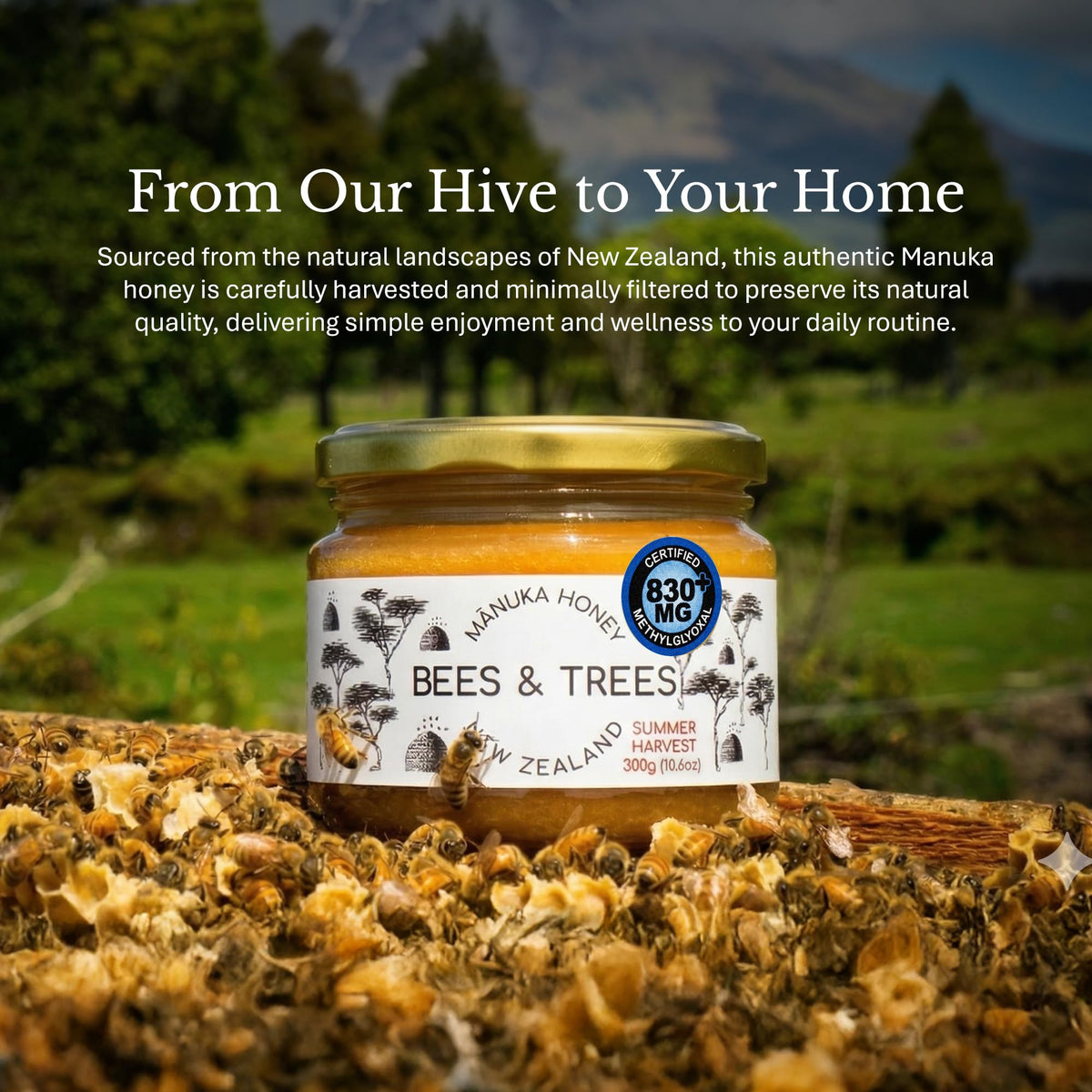 Bees & Trees Manuka honey jar on a kitchen shelf hero shot.