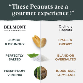 Belmont Peanuts Black Truffle Virginia Peanuts handful ready for snacking