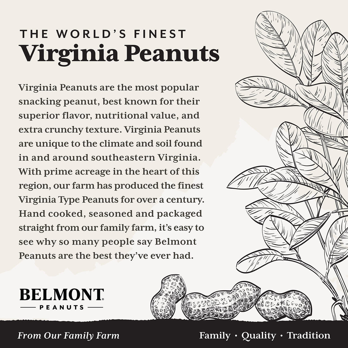 Belmont Peanuts ideal for desks, picnics, or sharing.