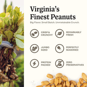Sea salt crystals on Belmont Peanuts provide crisp, flavorful crunch for home or office.