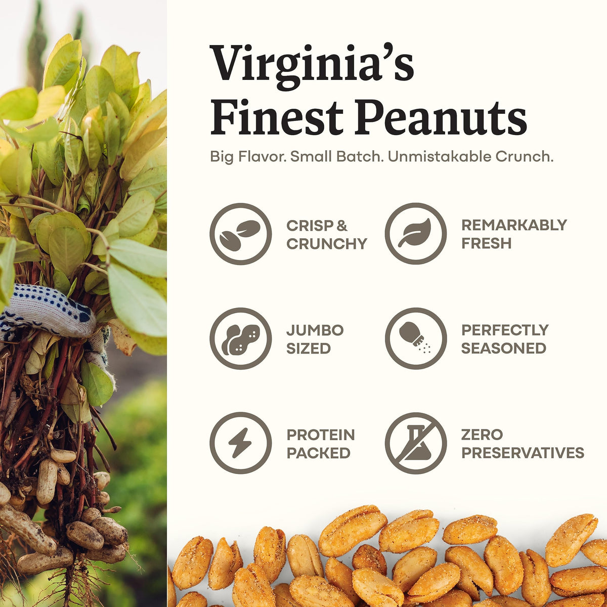 Belmont Peanuts simple ingredients label with no preservatives for clean snacking