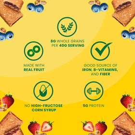 Belvita Fruit Bakes whole grain texture close-up
