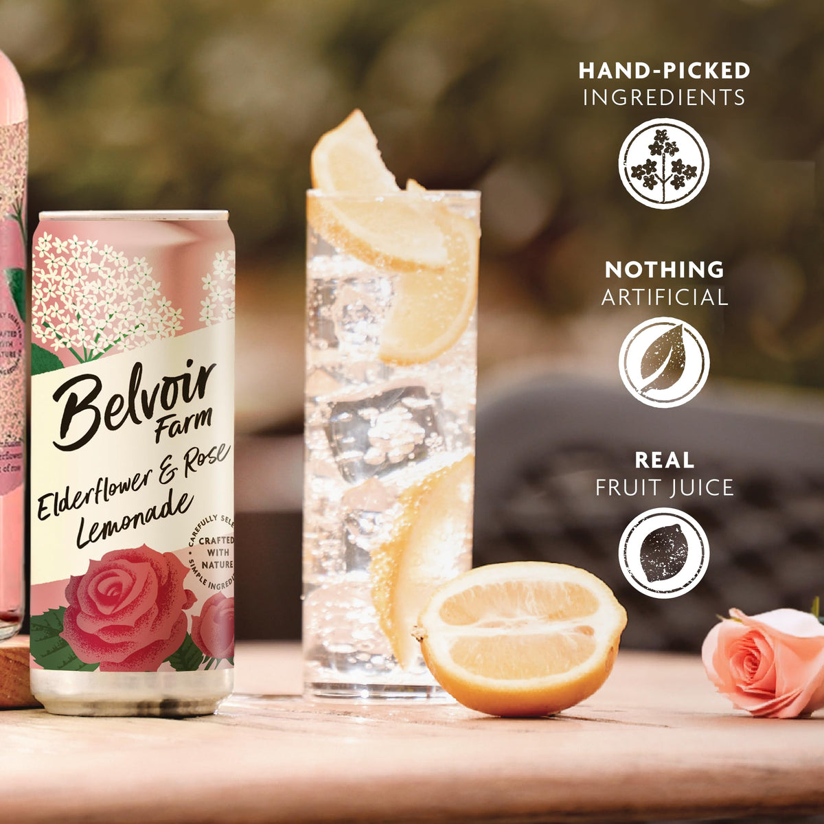 Belvoir Farm Elderflower & Rose Sparkling Lemonade can – on-the-go refreshment with natural ingredients.