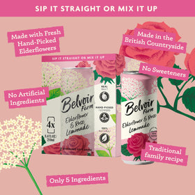 Belvoir Farm Elderflower & Rose Sparkling Lemonade can – crisp lemon finish with floral hints.