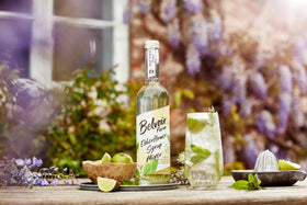 Refreshing elderflower beverage poured into a tall glass